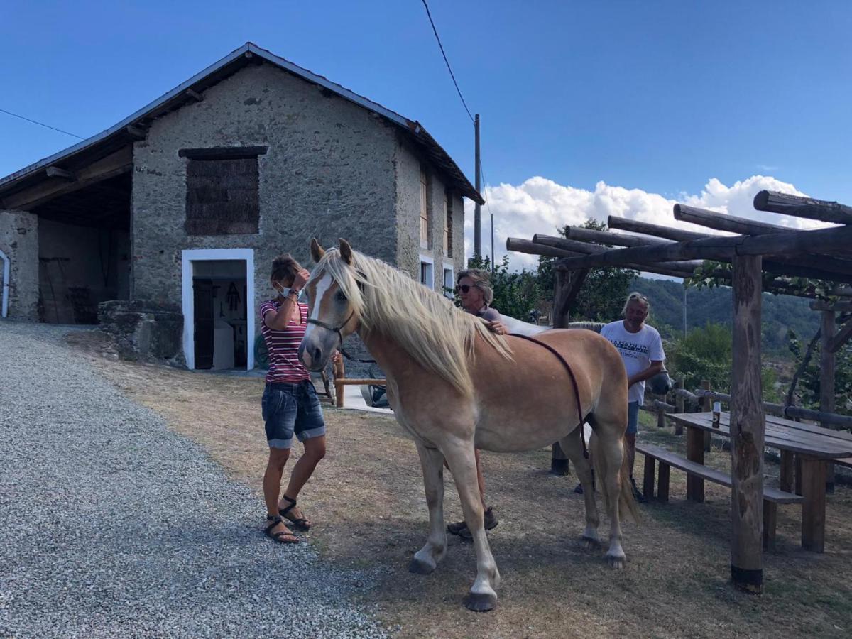 Cascina Merlo Country House Pareto 外观 照片