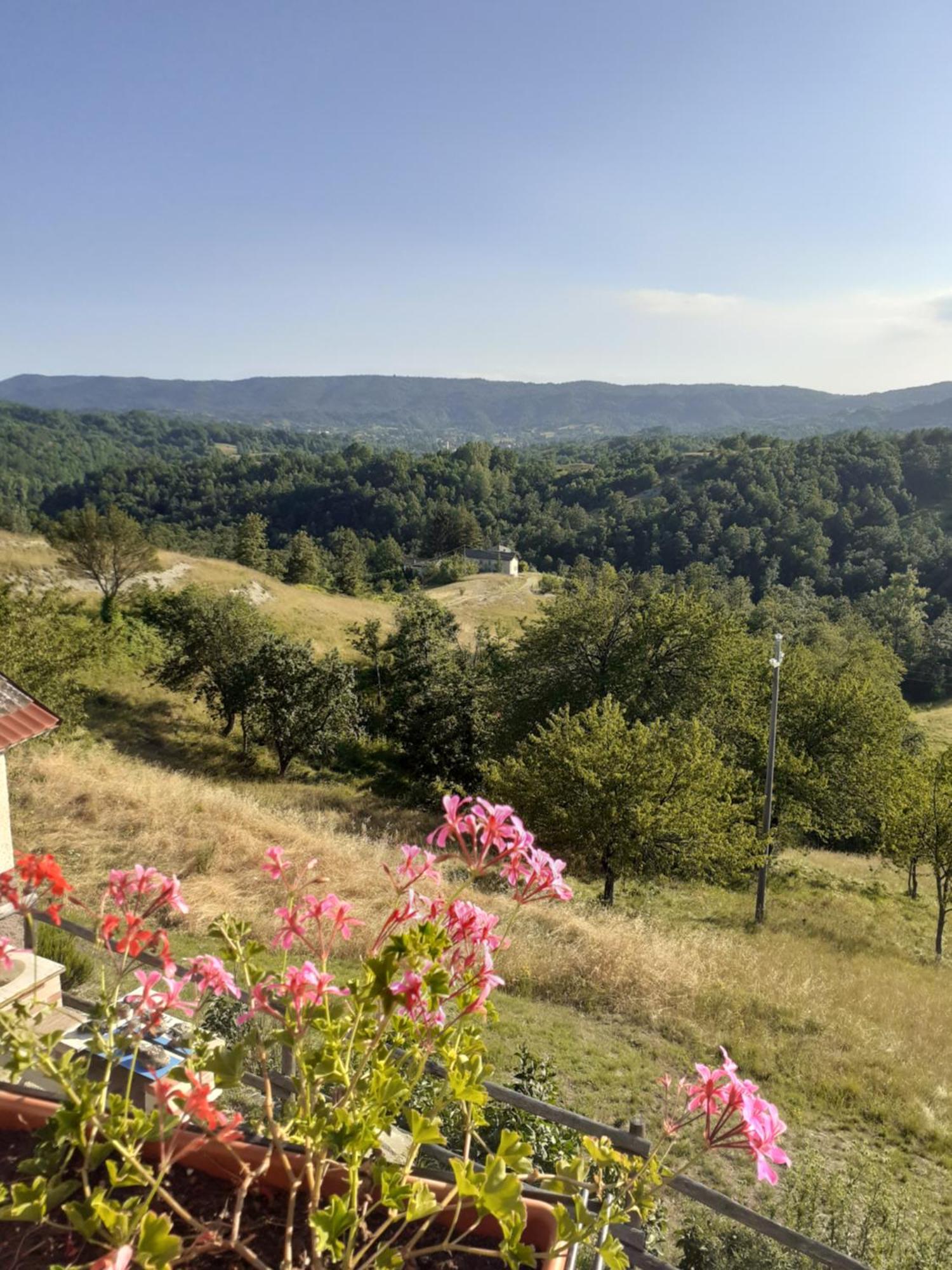 Cascina Merlo Country House Pareto 外观 照片